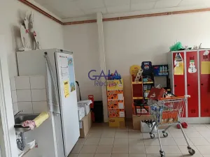 Prodej obchodního prostoru, Velim, Riegrova, 218 m2
