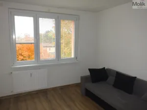 Prodej bytu 1+1, Jirkov, Hornická, 36 m2