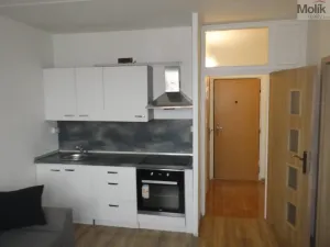 Prodej bytu 1+1, Jirkov, Hornická, 36 m2