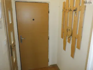 Prodej bytu 1+1, Jirkov, Hornická, 36 m2