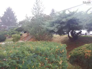 Prodej bytu 1+1, Jirkov, Hornická, 36 m2