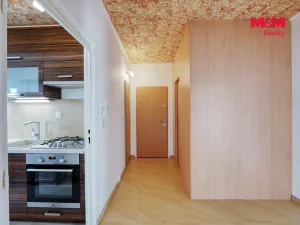 Prodej bytu 2+1, Plzeň - Severní Předměstí, Elišky Krásnohorské, 62 m2