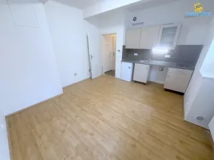 Pronájem bytu 1+kk, Praha - Nusle, U družstva Ideál, 26 m2
