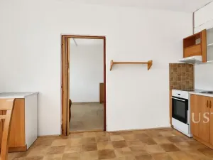 Prodej bytu 1+1, Bechyně, Písecká, 35 m2