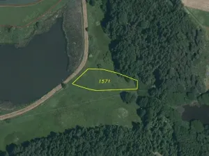 Dražba louky, Chodský Újezd, 2441 m2