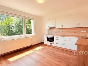 Pronájem bytu 2+1, Liberec - Liberec IV-Perštýn, U Krematoria, 65 m2