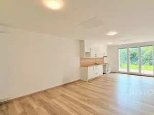 Pronájem bytu 1+1, Liberec - Liberec IV-Perštýn, U Krematoria, 65 m2