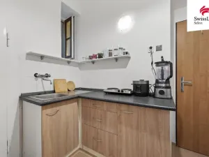 Prodej bytu 1+1, Praha - Břevnov, 8. listopadu, 25 m2