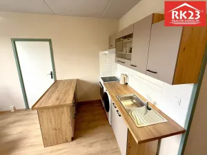 Prodej bytu 1+1, Teplá, Palackého, 41 m2