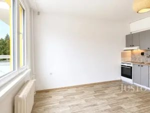 Pronájem bytu 1+kk, Písek - Budějovické Předměstí, 17. listopadu, 19 m2