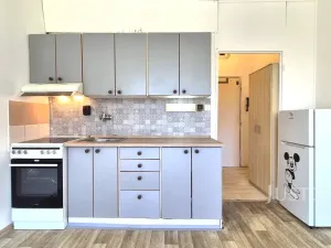 Pronájem bytu 1+kk, Písek - Budějovické Předměstí, 17. listopadu, 19 m2
