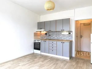 Pronájem bytu 1+kk, Písek - Budějovické Předměstí, 17. listopadu, 19 m2