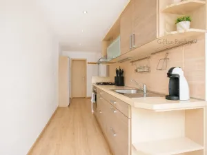 Prodej bytu 2+1, Ústí nad Labem - Severní Terasa, Pincova, 64 m2