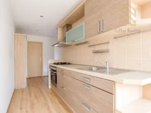 Prodej bytu 2+1, Ústí nad Labem - Severní Terasa, Pincova, 64 m2