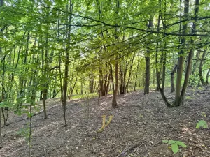 Prodej pozemku pro bydlení, Hlubočky, 44238 m2
