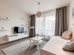 Pronájem bytu 1+kk, Praha - Karlín, Breitfeldova, 32 m2
