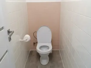 Pronájem bytu 3+kk, Šumice, 100 m2