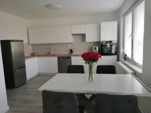 Pronájem bytu 3+kk, Šumice, 100 m2