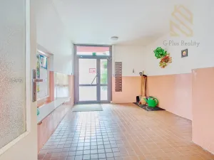 Prodej bytu 2+1, Litoměřice - Předměstí, Jiřího z Poděbrad, 62 m2