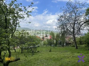 Pronájem bytu 2+kk, Zlín, Jiráskova, 45 m2