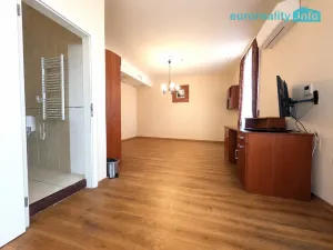 Pronájem obchodního prostoru, Plzeň, Zbrojnická, 30 m2