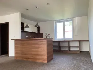 Pronájem bytu 4+kk, Chomutov, Dostojevského, 155 m2