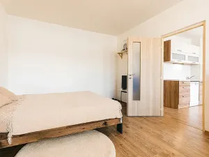 Prodej bytu 1+1, Brno, Horácké náměstí, 45 m2