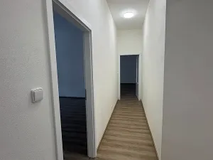 Pronájem bytu 4+1, Brno, Dvořákova, 155 m2