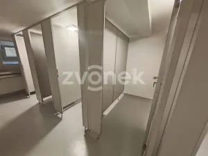 Pronájem bytu 1+1, Otrokovice, Moravní, 32 m2