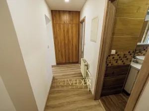 Pronájem bytu 2+1, Teplice, Bílinská, 57 m2