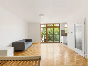 Pronájem bytu 1+kk, Praha - Žižkov, Dalimilova, 50 m2