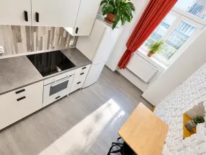 Pronájem bytu 2+kk, Praha - Žižkov, Jeronýmova, 29 m2