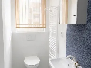 Pronájem bytu 2+kk, Praha - Žižkov, Jeronýmova, 29 m2