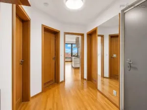 Pronájem bytu 3+kk, Praha - Vinohrady, Korunní, 146 m2
