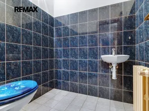 Prodej rodinného domu, Zruč-Senec, Na Slovanech, 570 m2