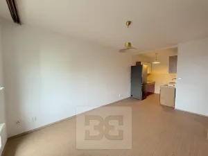 Pronájem bytu 2+kk, Praha - Braník, Údolní, 40 m2