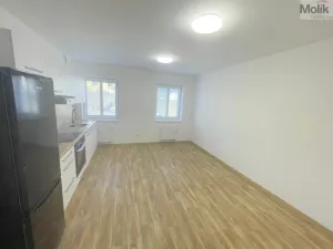 Pronájem bytu 2+kk, Most, Hollarova, 45 m2