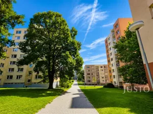 Prodej bytu 3+1, Písek - Budějovické Předměstí, třída Přátelství, 61 m2
