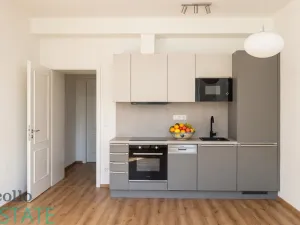 Pronájem bytu 1+kk, Plzeň, Klatovská třída, 32 m2