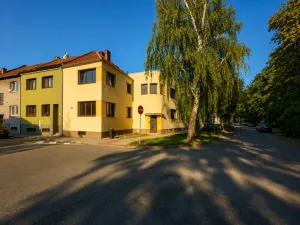 Pronájem bytu 1+1, Prostějov, Riegrova, 43 m2
