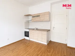 Prodej bytu 1+kk, Praha - Michle, Hanusova, 33 m2