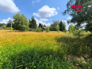 Prodej louky, Nejdek - Bernov, 1479 m2