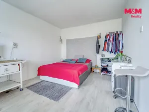 Prodej bytu 1+1, Plzeň - Jižní Předměstí, Čermákova, 36 m2