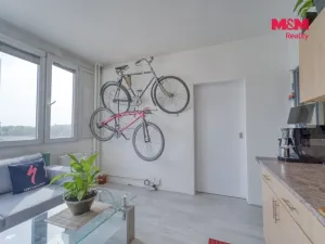 Prodej bytu 1+1, Plzeň - Jižní Předměstí, Čermákova, 36 m2