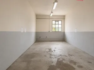 Pronájem komerční nemovitosti, Moravany - Platěnsko, 169 m2