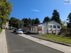 Prodej restaurace, Litvínov - Horní Litvínov, Alešova, 506 m2