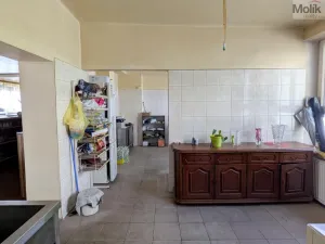 Prodej komerční nemovitosti, Litvínov - Horní Litvínov, Alešova, 506 m2