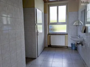 Prodej komerční nemovitosti, Litvínov - Horní Litvínov, Alešova, 506 m2