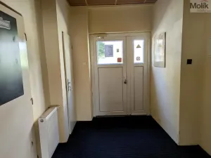 Prodej komerční nemovitosti, Litvínov - Horní Litvínov, Alešova, 506 m2