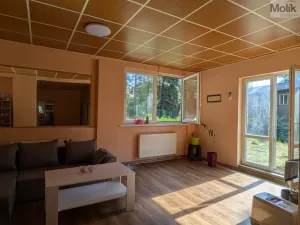 Prodej komerční nemovitosti, Litvínov - Horní Litvínov, Alešova, 506 m2